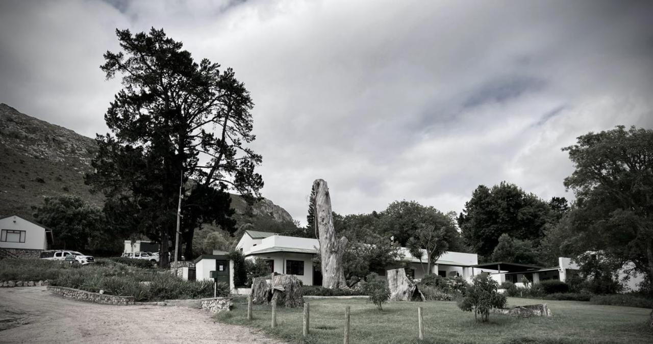 The Volmoed Trust Villa Hermanus Buitenkant foto