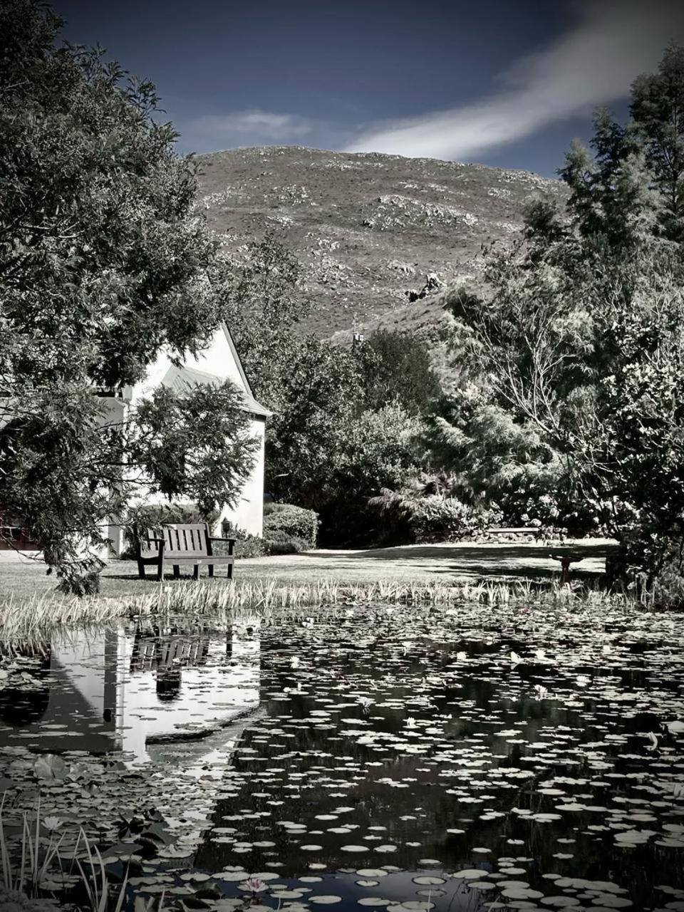 The Volmoed Trust Villa Hermanus Buitenkant foto
