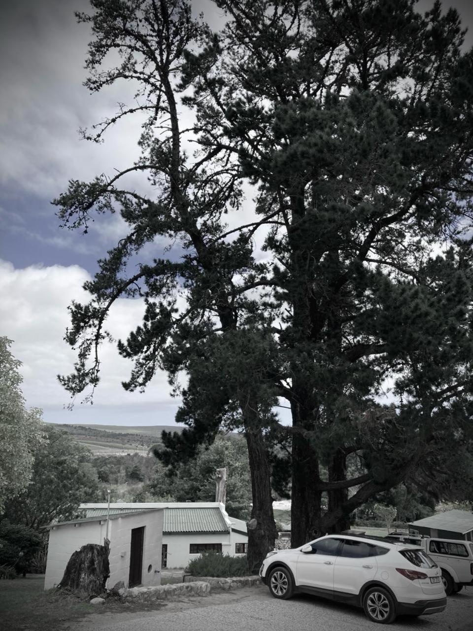 The Volmoed Trust Villa Hermanus Buitenkant foto