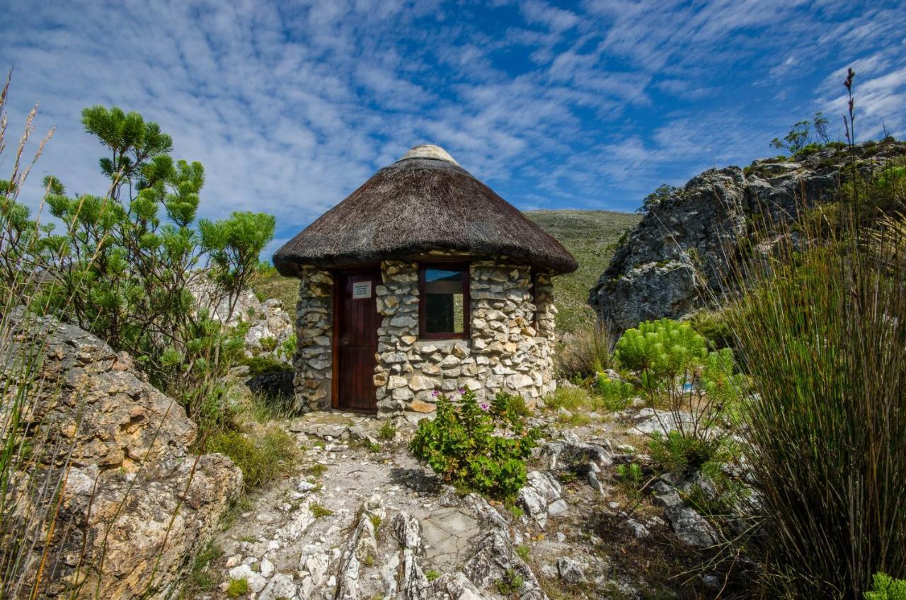 The Volmoed Trust Villa Hermanus Buitenkant foto