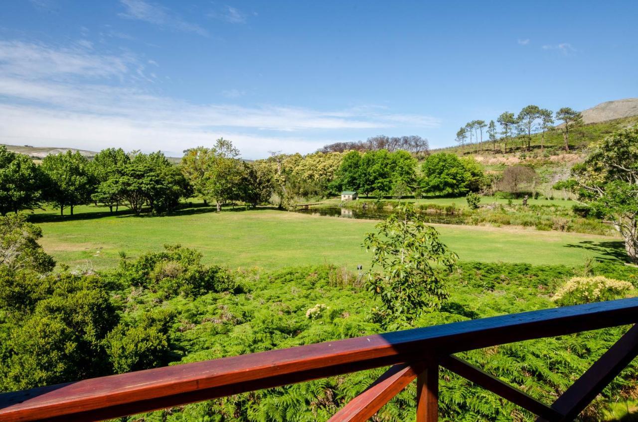 The Volmoed Trust Villa Hermanus Buitenkant foto